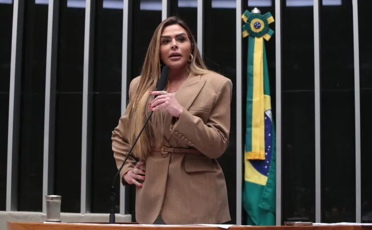 Silvye Alves foi autora do projeto que deu origem à lei Fonte: Agência Câmara de Notícias