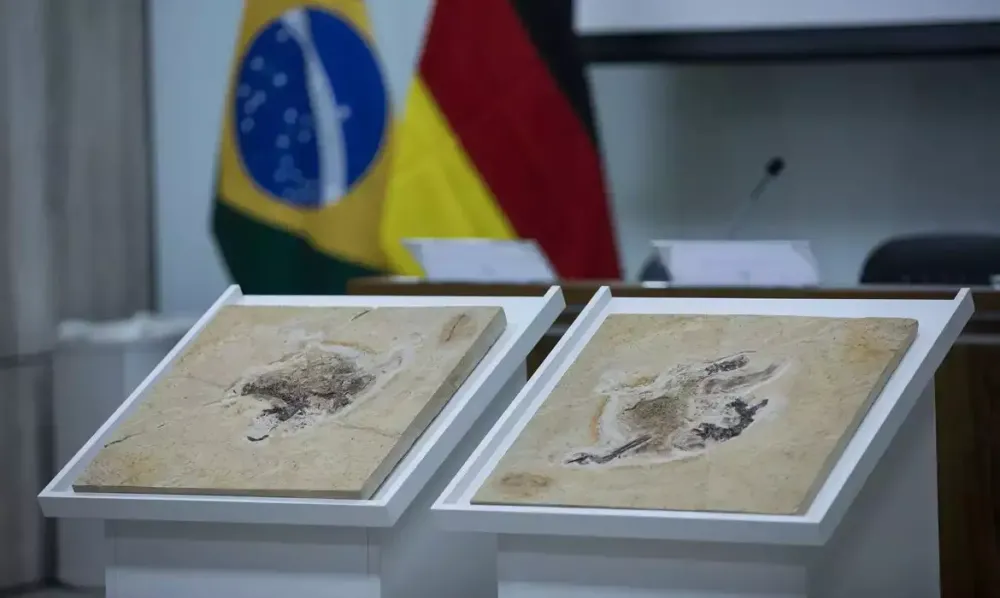 Foto: Joédson Alves/Agência Brasil