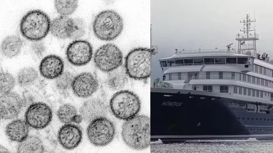 Novo caso de hantavírus confirmado em tripulante do MV Hondius repatriado para os Países Baixos - Foto: Divulgação CDC: Cynthia Goldsmith e Luanne Elliott; e Divulgação Antarctica Cruises