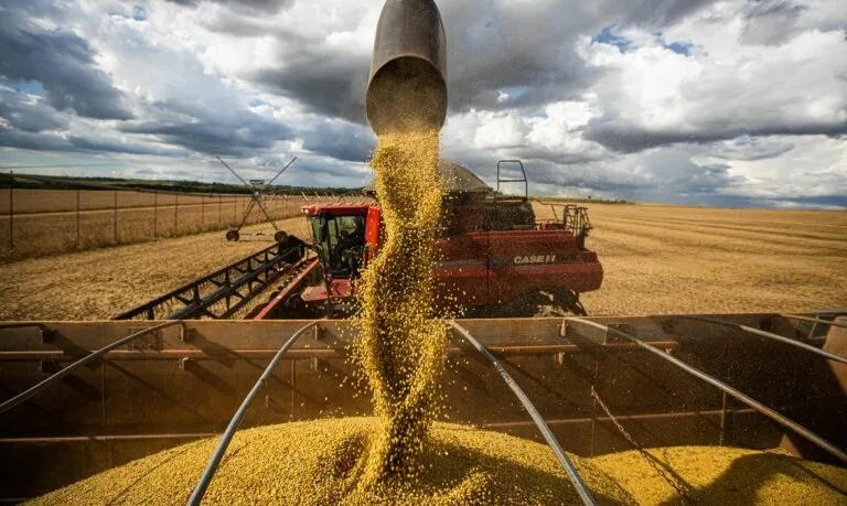 Colheita de soja Foto: Agência Brasil