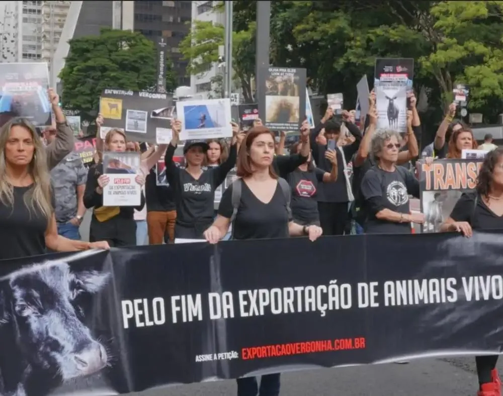 Manifestantes protestam na Avenida Paulista contra exportação de animais vivos
