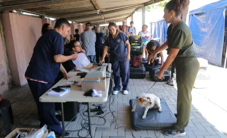 Proteção Animal abre cadastro para castração gratuita de cães e gatos no Lagoa Azul